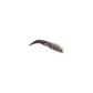 Dark Brown Bully Brow